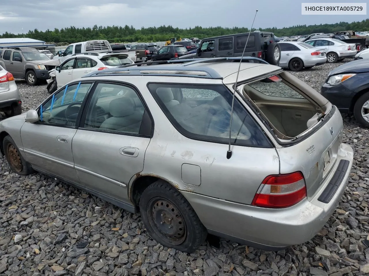 1996 Honda Accord Ex VIN: 1HGCE189XTA005729 Lot: 59735764