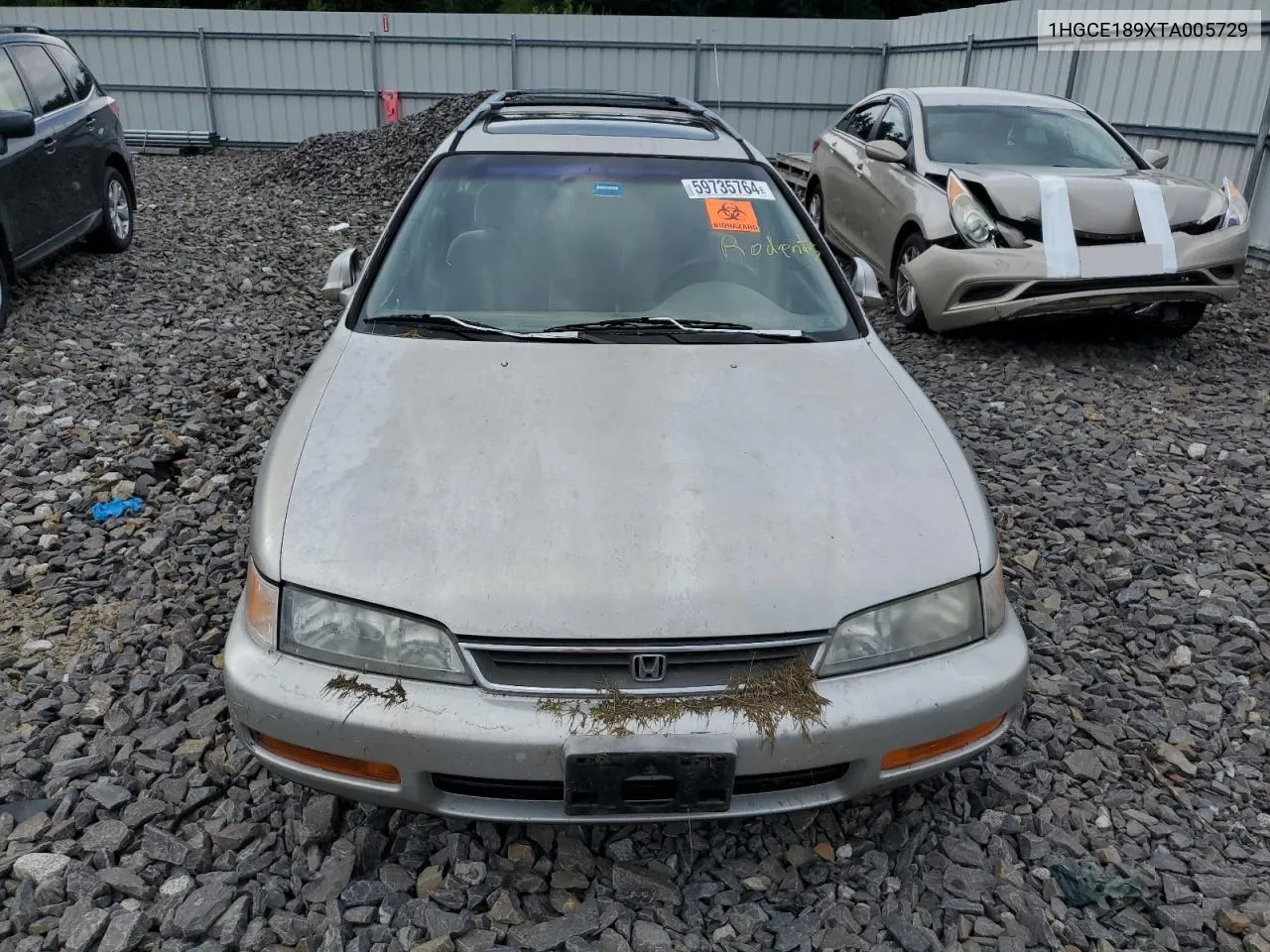 1996 Honda Accord Ex VIN: 1HGCE189XTA005729 Lot: 59735764