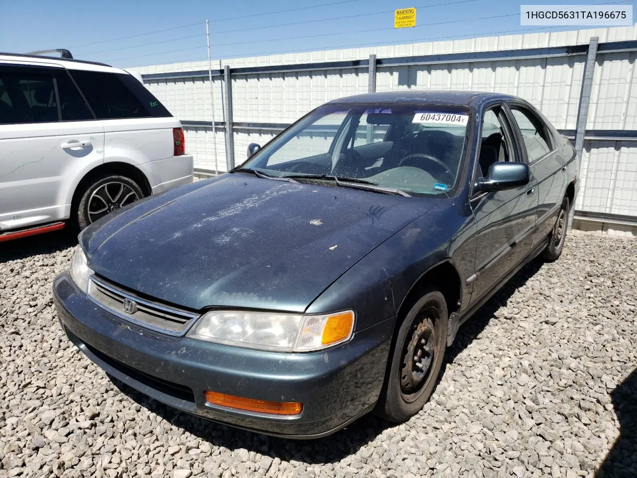 1996 Honda Accord Lx VIN: 1HGCD5631TA196675 Lot: 60437004