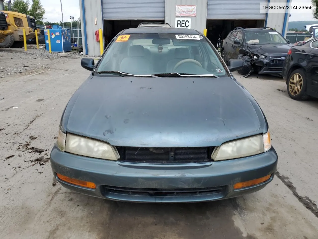 1996 Honda Accord Dx VIN: 1HGCD5623TA023666 Lot: 65288494