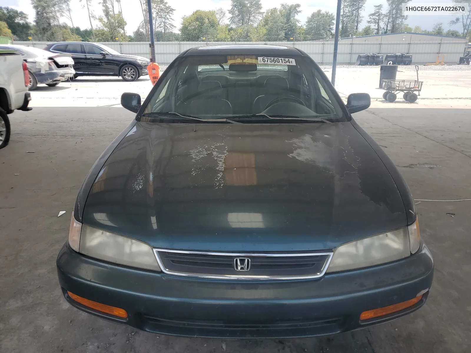 1996 Honda Accord Ex VIN: 1HGCE6672TA022670 Lot: 67560154