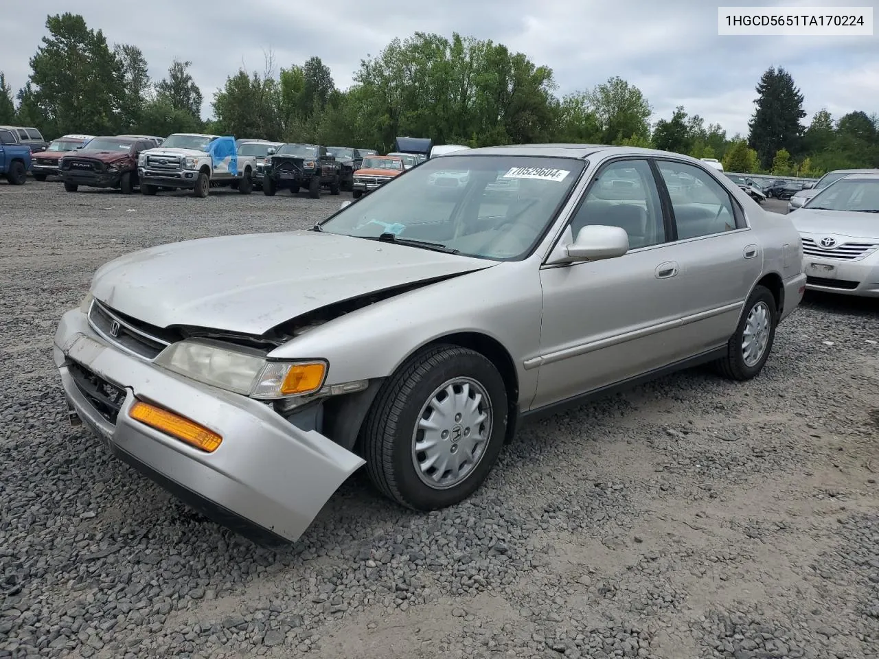 1996 Honda Accord Ex VIN: 1HGCD5651TA170224 Lot: 70529604