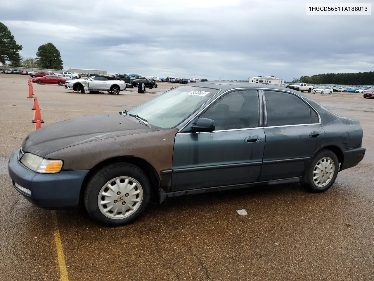 1996 Honda Accord Ex VIN: 1HGCD5651TA188013 Lot: 79533564