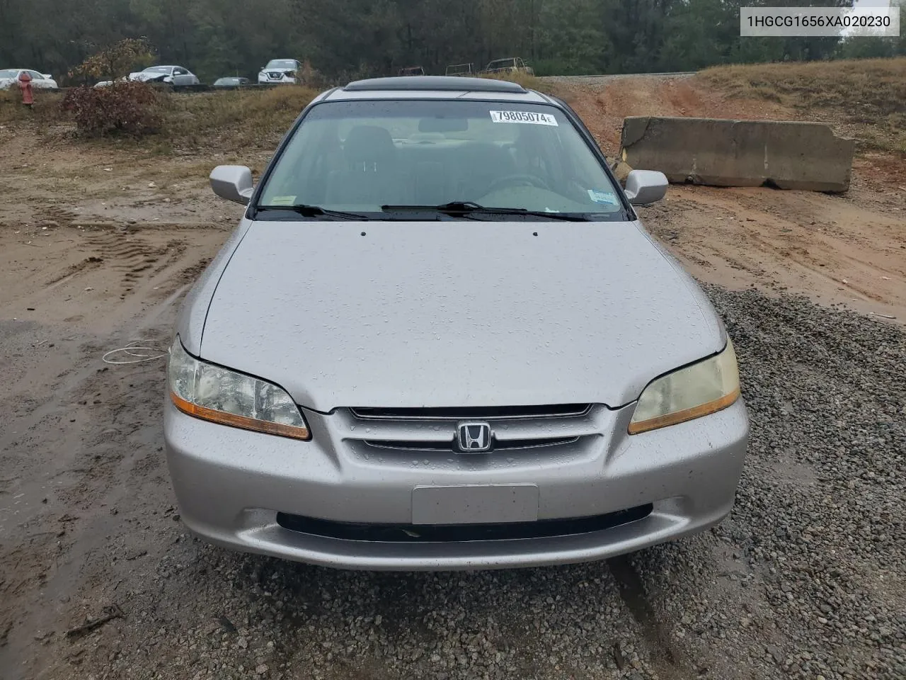 1999 Honda Accord Ex VIN: 1HGCG1656XA020230 Lot: 79805074