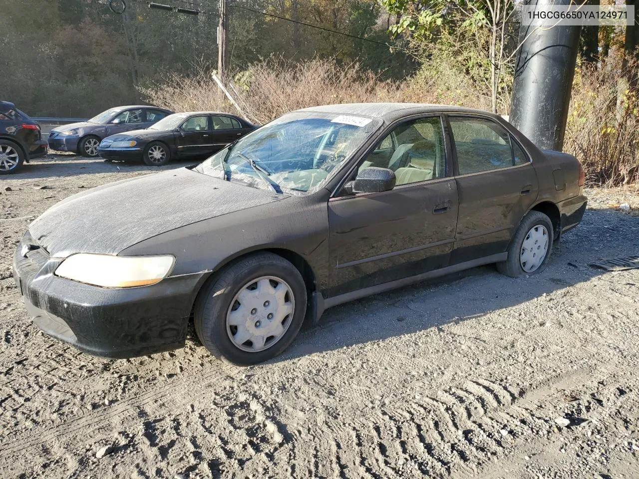 2000 Honda Accord Lx VIN: 1HGCG6650YA124971 Lot: 76683424