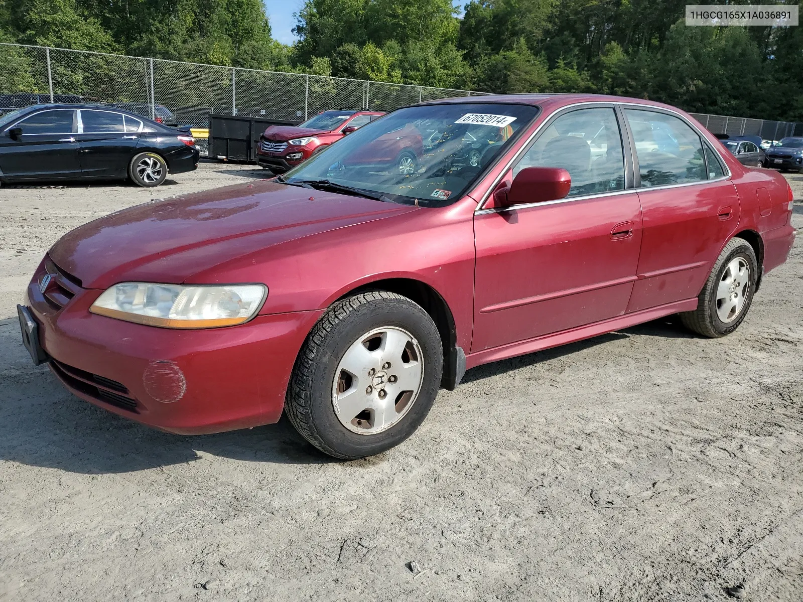 2001 Honda Accord Ex VIN: 1HGCG165X1A036891 Lot: 67052014