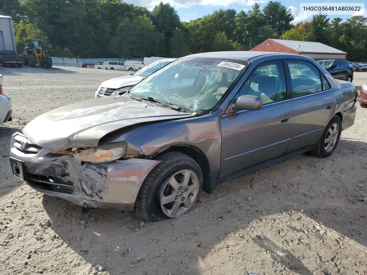 2001 Honda Accord Lx VIN: 1HGCG56481A803622 Lot: 73642234