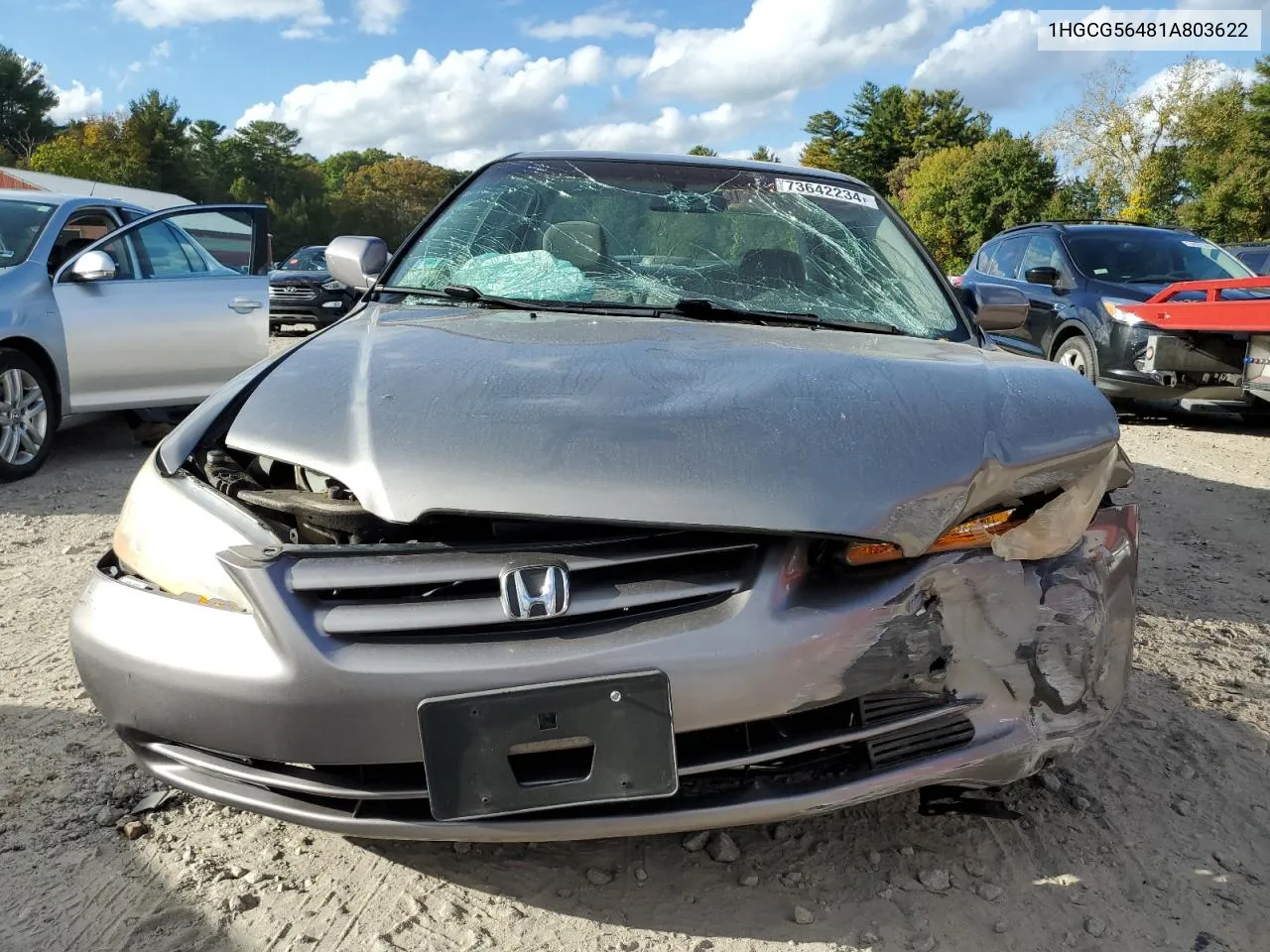 2001 Honda Accord Lx VIN: 1HGCG56481A803622 Lot: 73642234