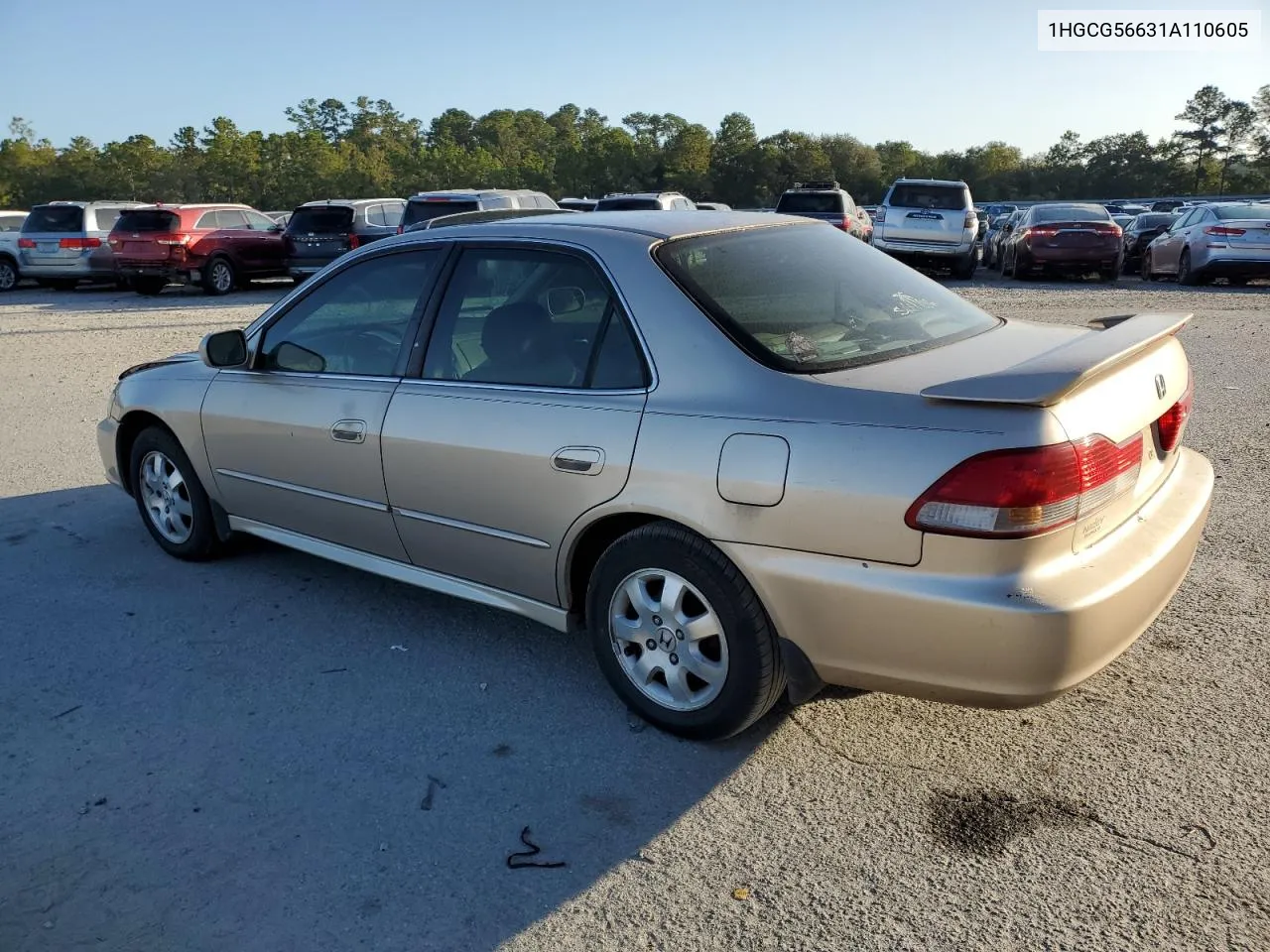 2001 Honda Accord Ex VIN: 1HGCG56631A110605 Lot: 77031954