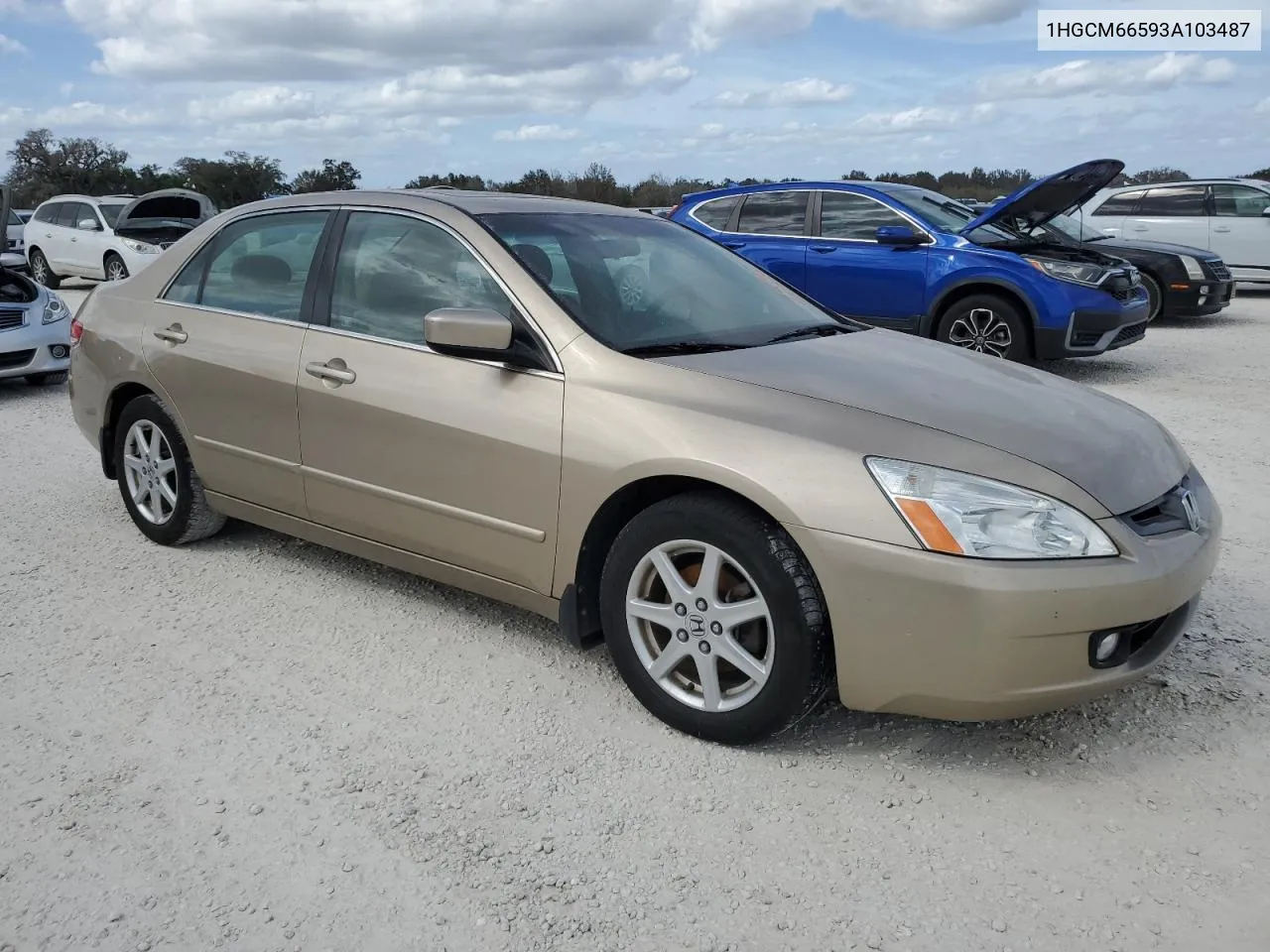 2003 Honda Accord Ex VIN: 1HGCM66593A103487 Lot: 77194534