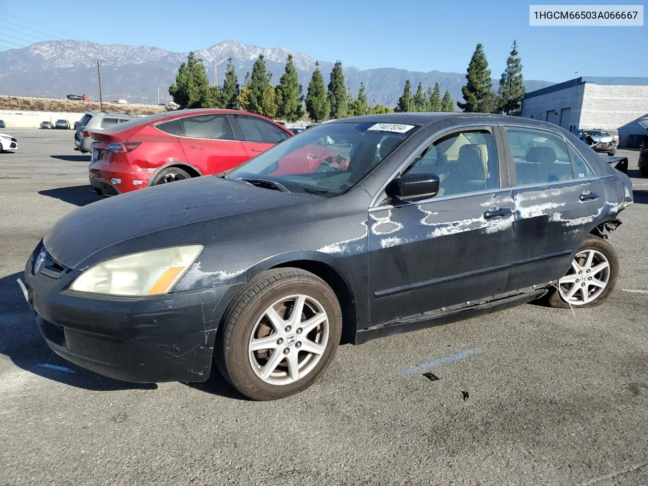 2003 Honda Accord Ex VIN: 1HGCM66503A066667 Lot: 77407034