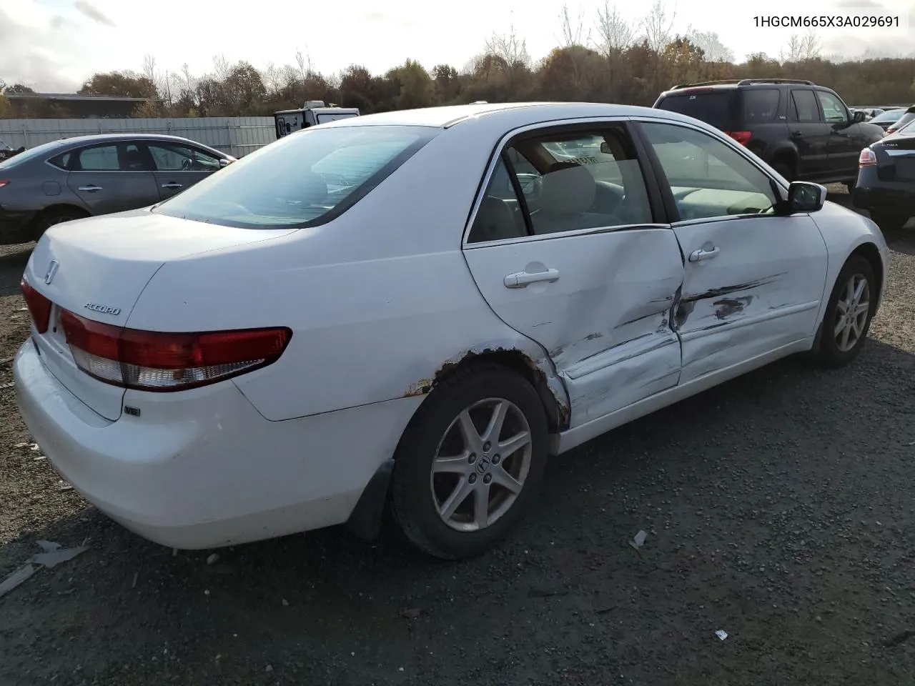 2003 Honda Accord Ex VIN: 1HGCM665X3A029691 Lot: 78131454