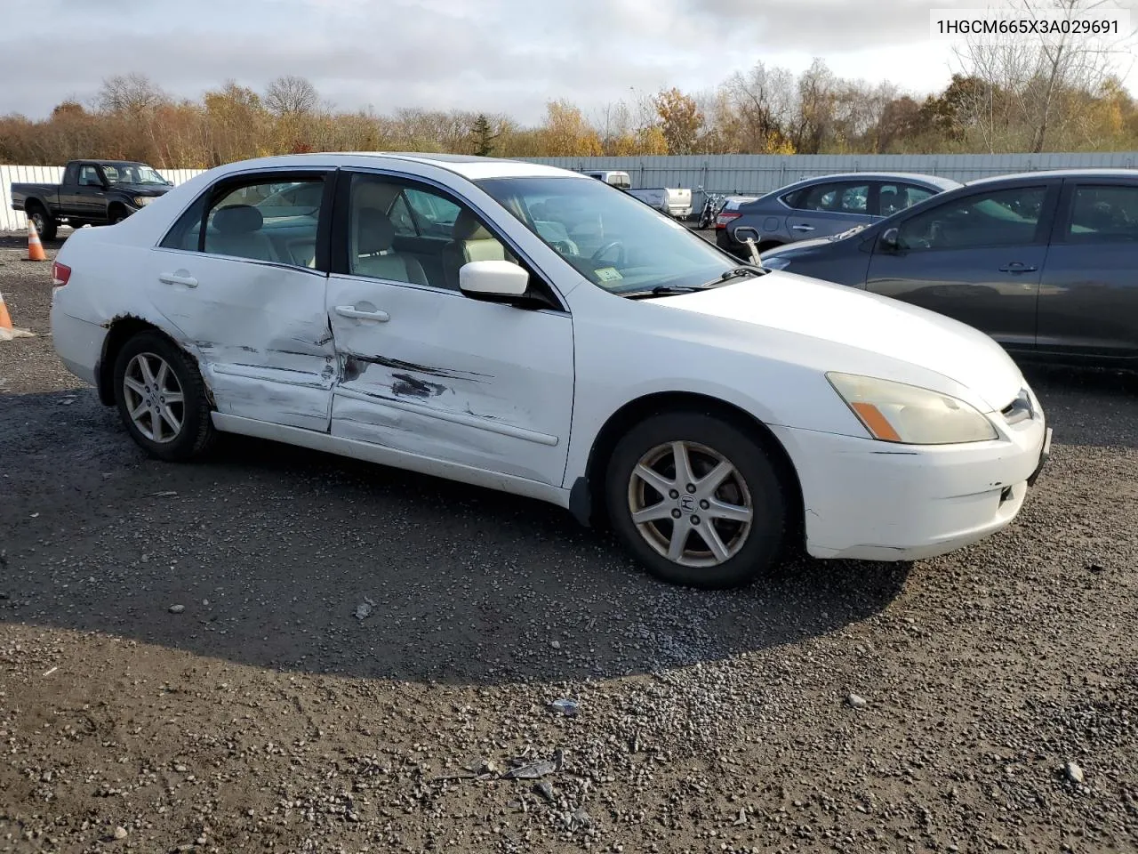 2003 Honda Accord Ex VIN: 1HGCM665X3A029691 Lot: 78131454