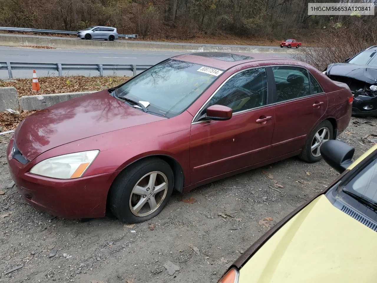 2003 Honda Accord Ex VIN: 1HGCM56653A120841 Lot: 80877514