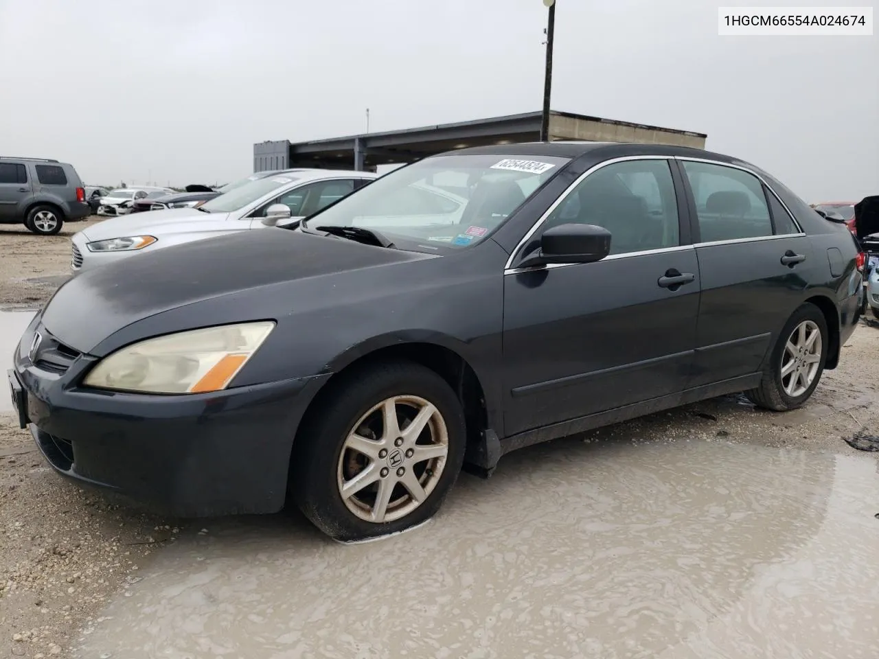 2004 Honda Accord Ex VIN: 1HGCM66554A024674 Lot: 62544524