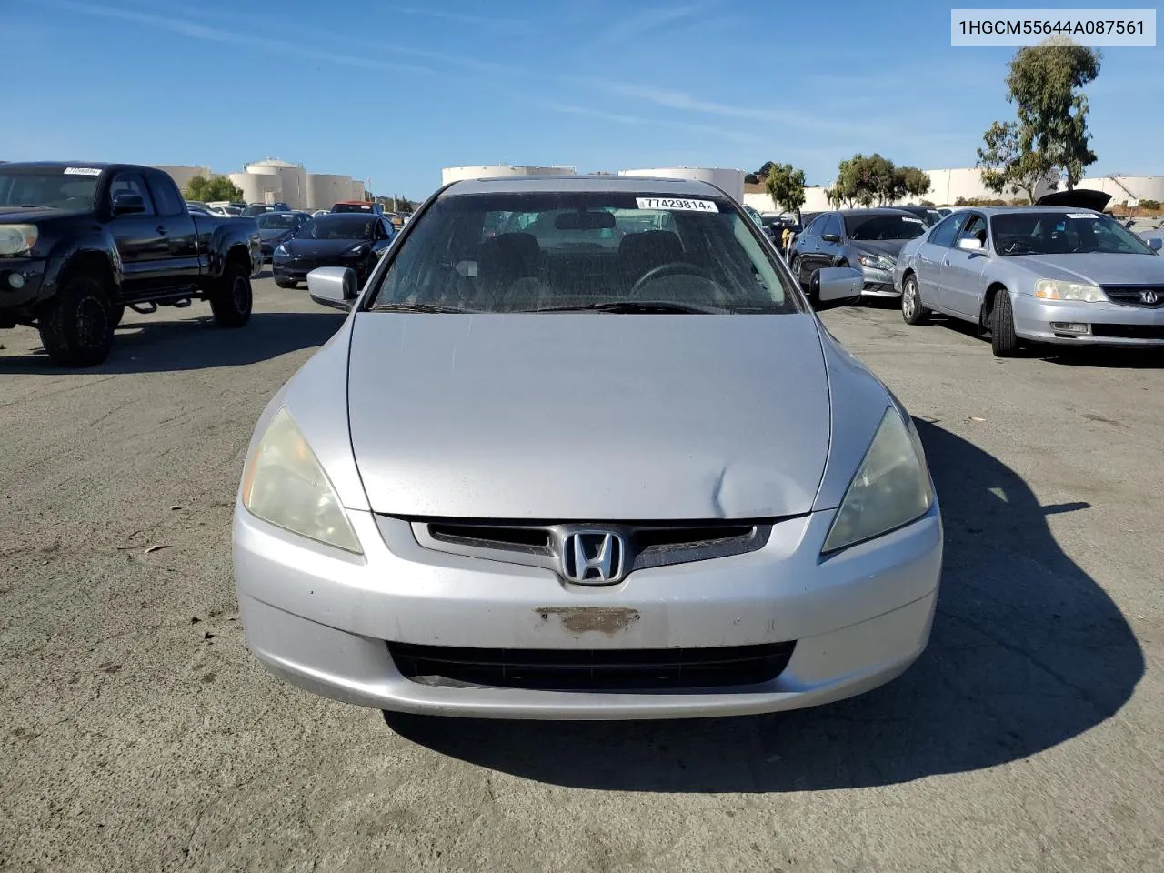 2004 Honda Accord Ex VIN: 1HGCM55644A087561 Lot: 77429814