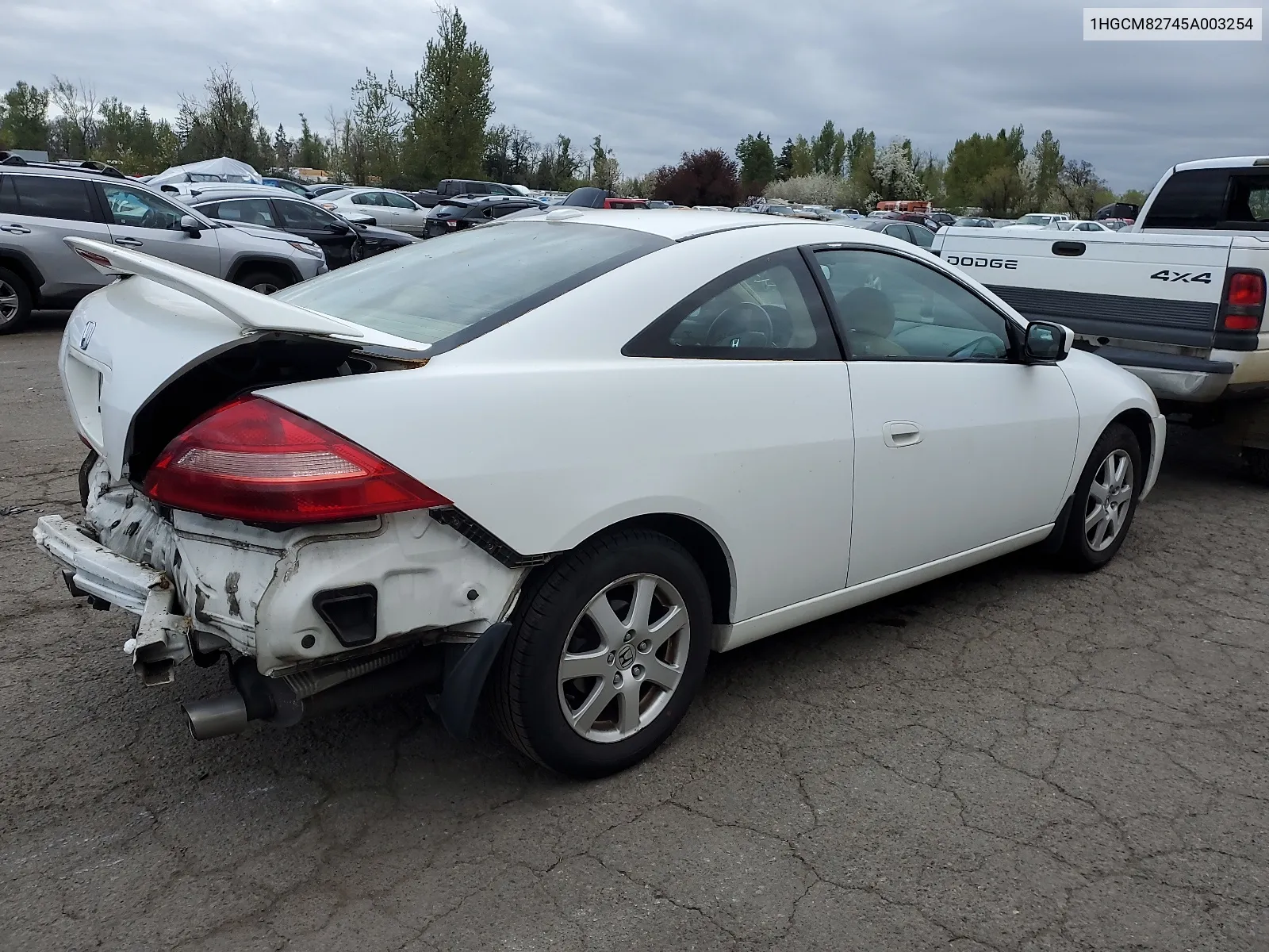 2005 Honda Accord Ex VIN: 1HGCM82745A003254 Lot: 49374174