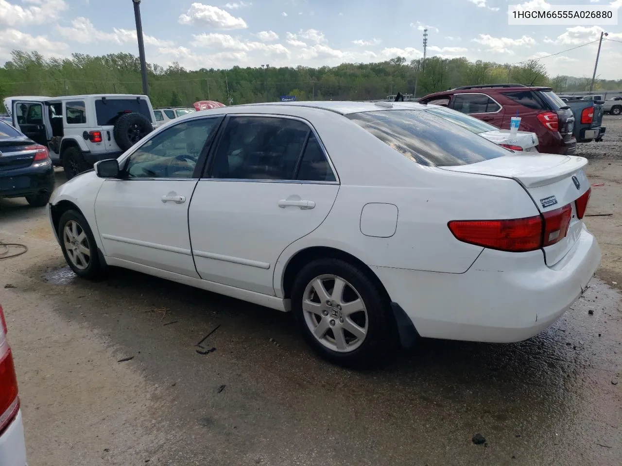 2005 Honda Accord Ex VIN: 1HGCM66555A026880 Lot: 50720764