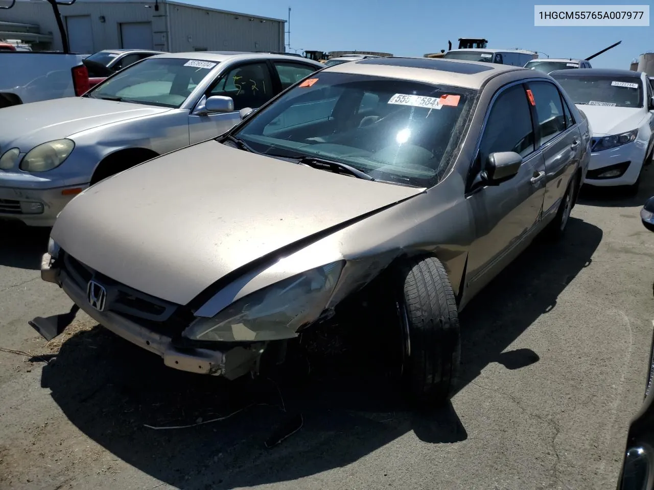 1HGCM55765A007977 2005 Honda Accord Ex