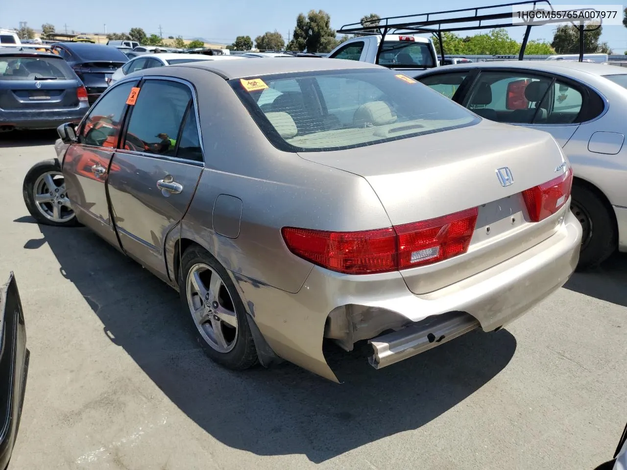 2005 Honda Accord Ex VIN: 1HGCM55765A007977 Lot: 55530584