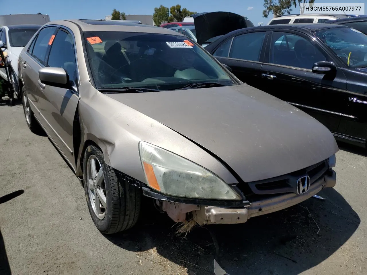 1HGCM55765A007977 2005 Honda Accord Ex