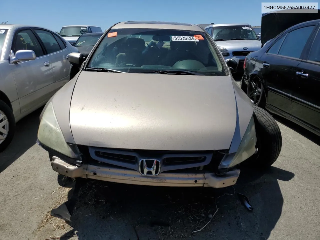 1HGCM55765A007977 2005 Honda Accord Ex