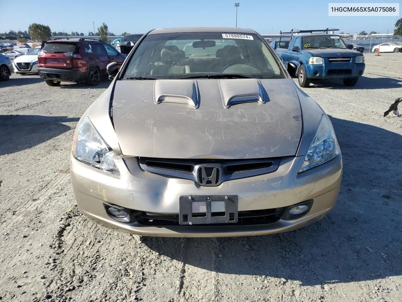 2005 Honda Accord Ex VIN: 1HGCM665X5A075086 Lot: 57888574