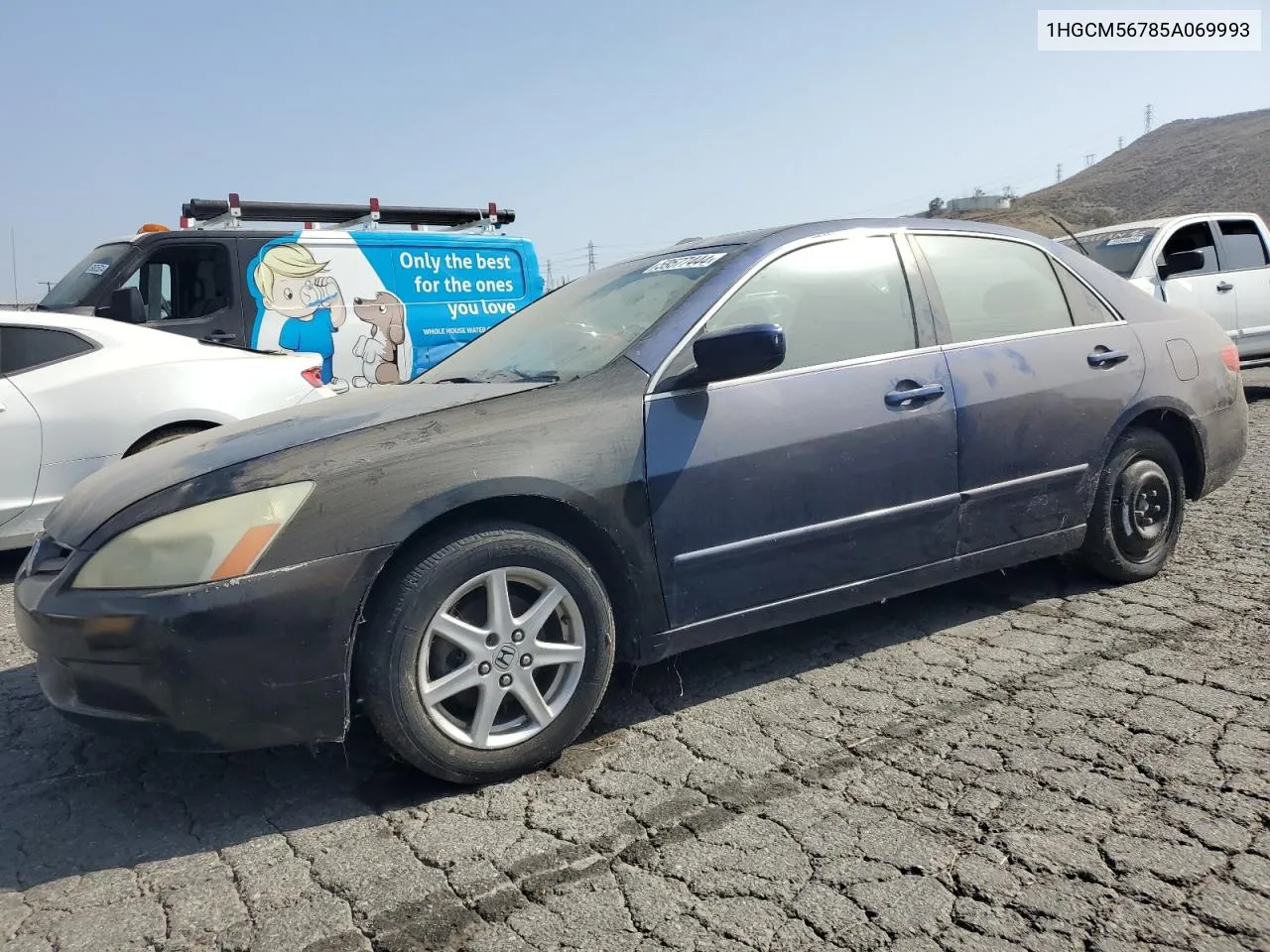 2005 Honda Accord Ex VIN: 1HGCM56785A069993 Lot: 59577444