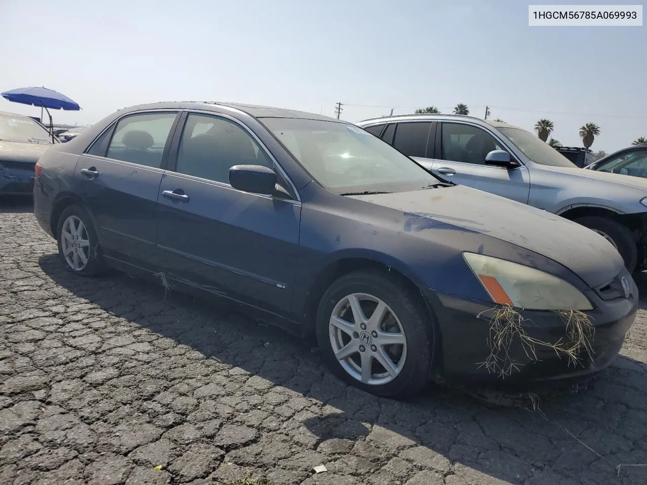 2005 Honda Accord Ex VIN: 1HGCM56785A069993 Lot: 59577444