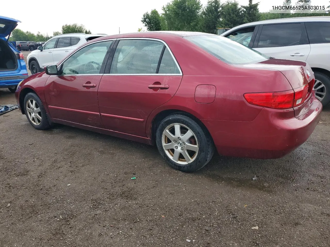 1HGCM66525A803015 2005 Honda Accord Ex