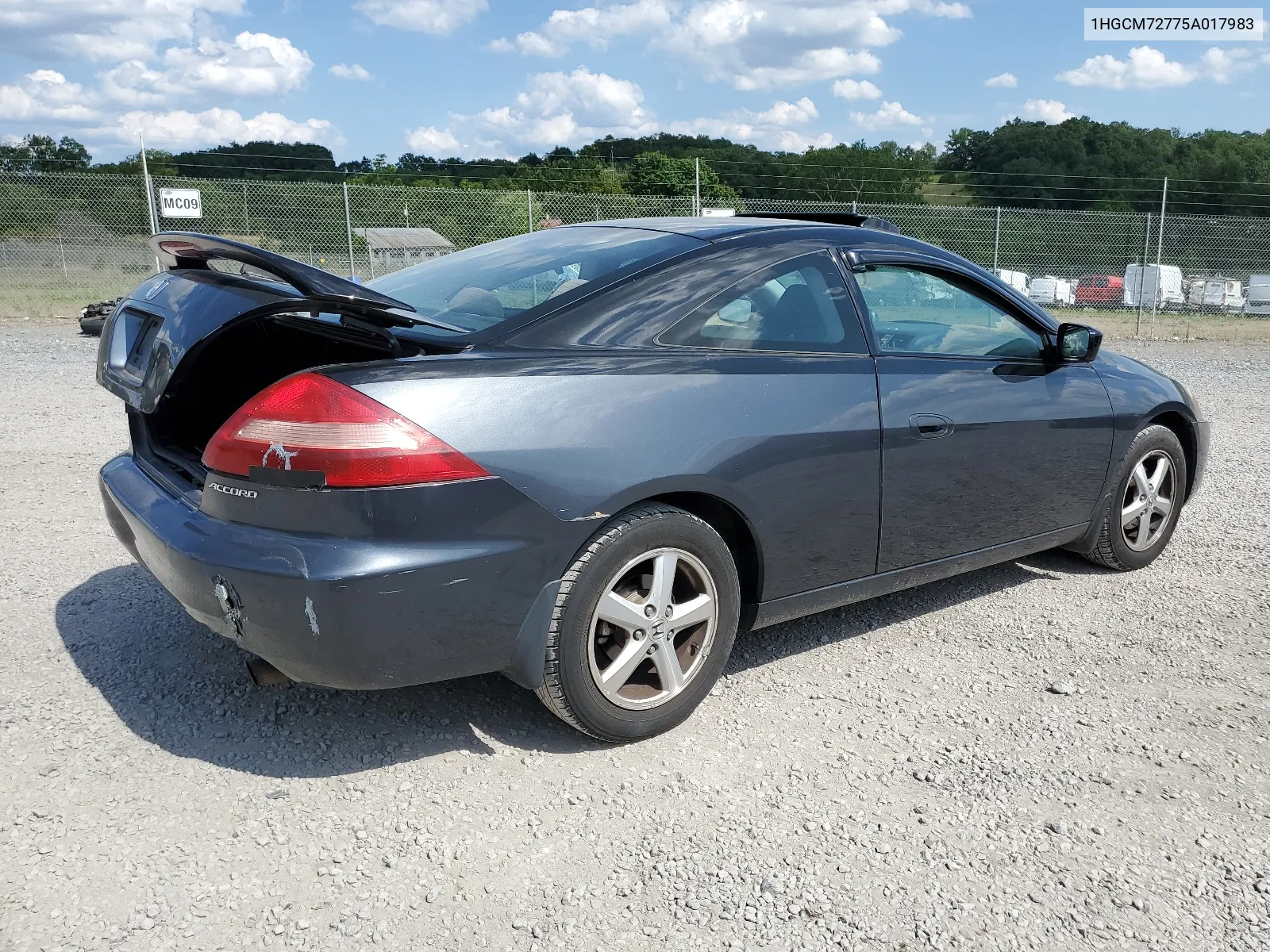 2005 Honda Accord Ex VIN: 1HGCM72775A017983 Lot: 64134864