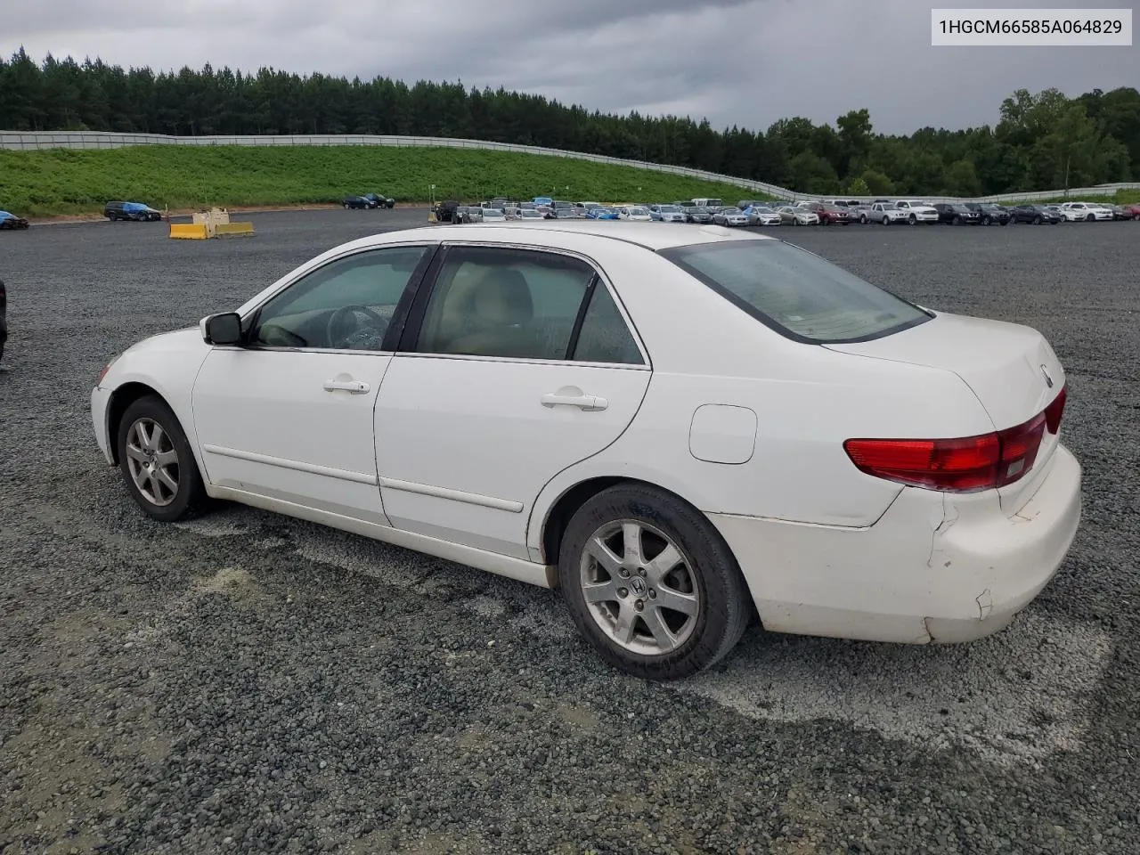 2005 Honda Accord Ex VIN: 1HGCM66585A064829 Lot: 65975234