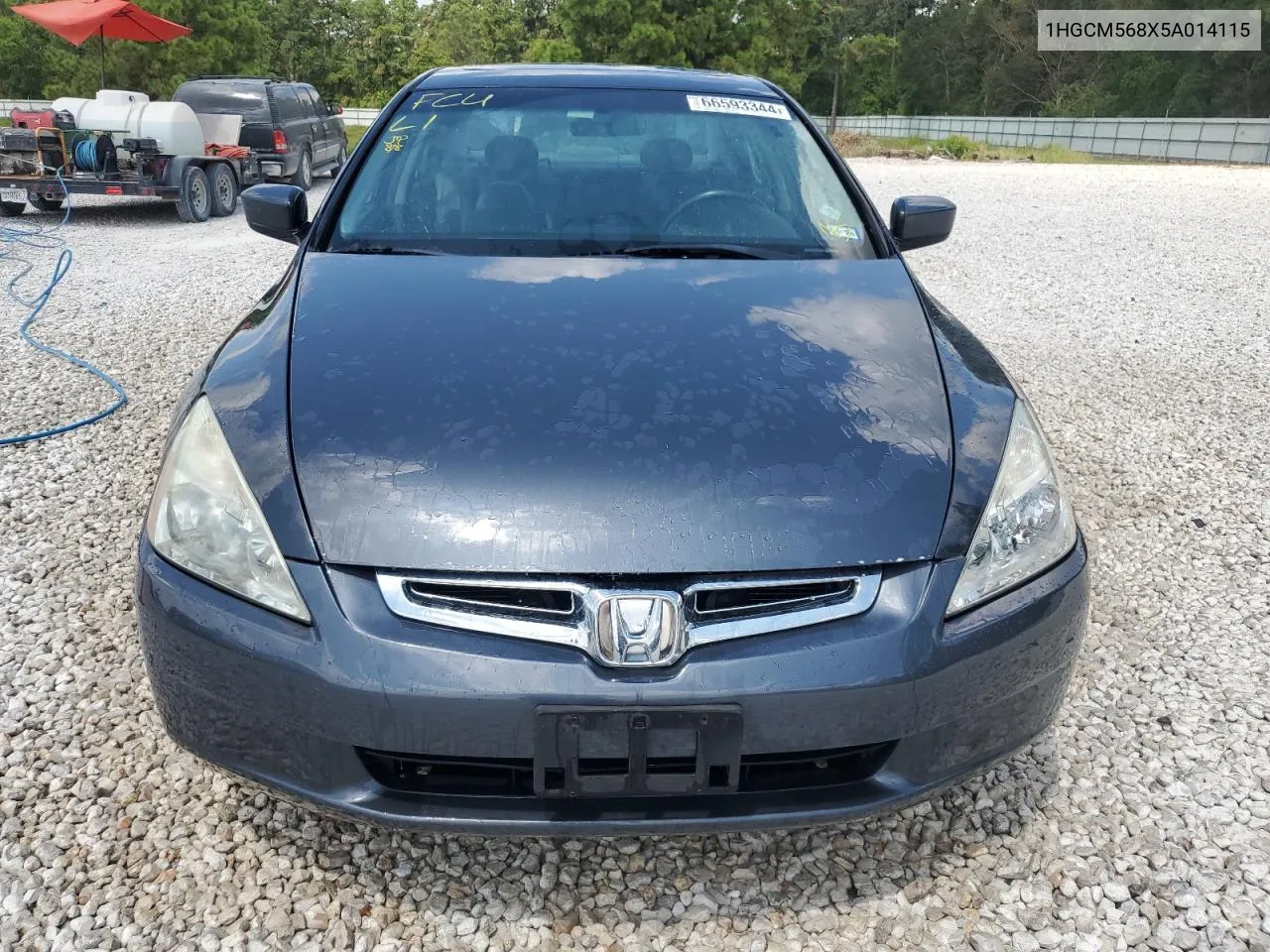 2005 Honda Accord Ex VIN: 1HGCM568X5A014115 Lot: 66593344