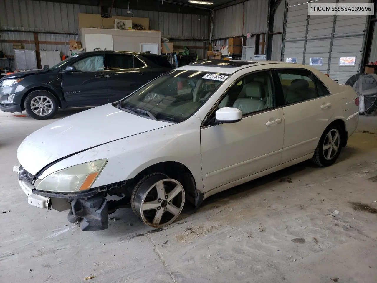 1HGCM56855A039696 2005 Honda Accord Ex