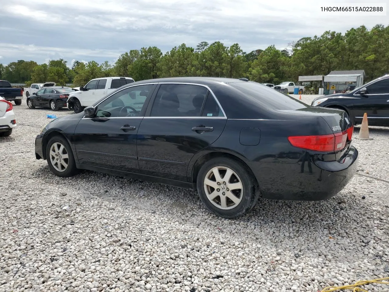 2005 Honda Accord Ex VIN: 1HGCM66515A022888 Lot: 69055094