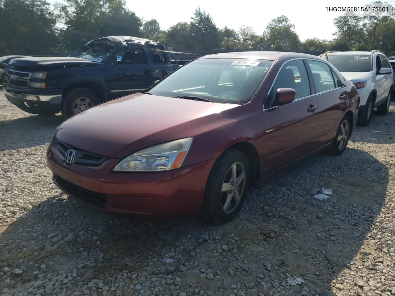 2005 Honda Accord Ex VIN: 1HGCM56815A175601 Lot: 69246884