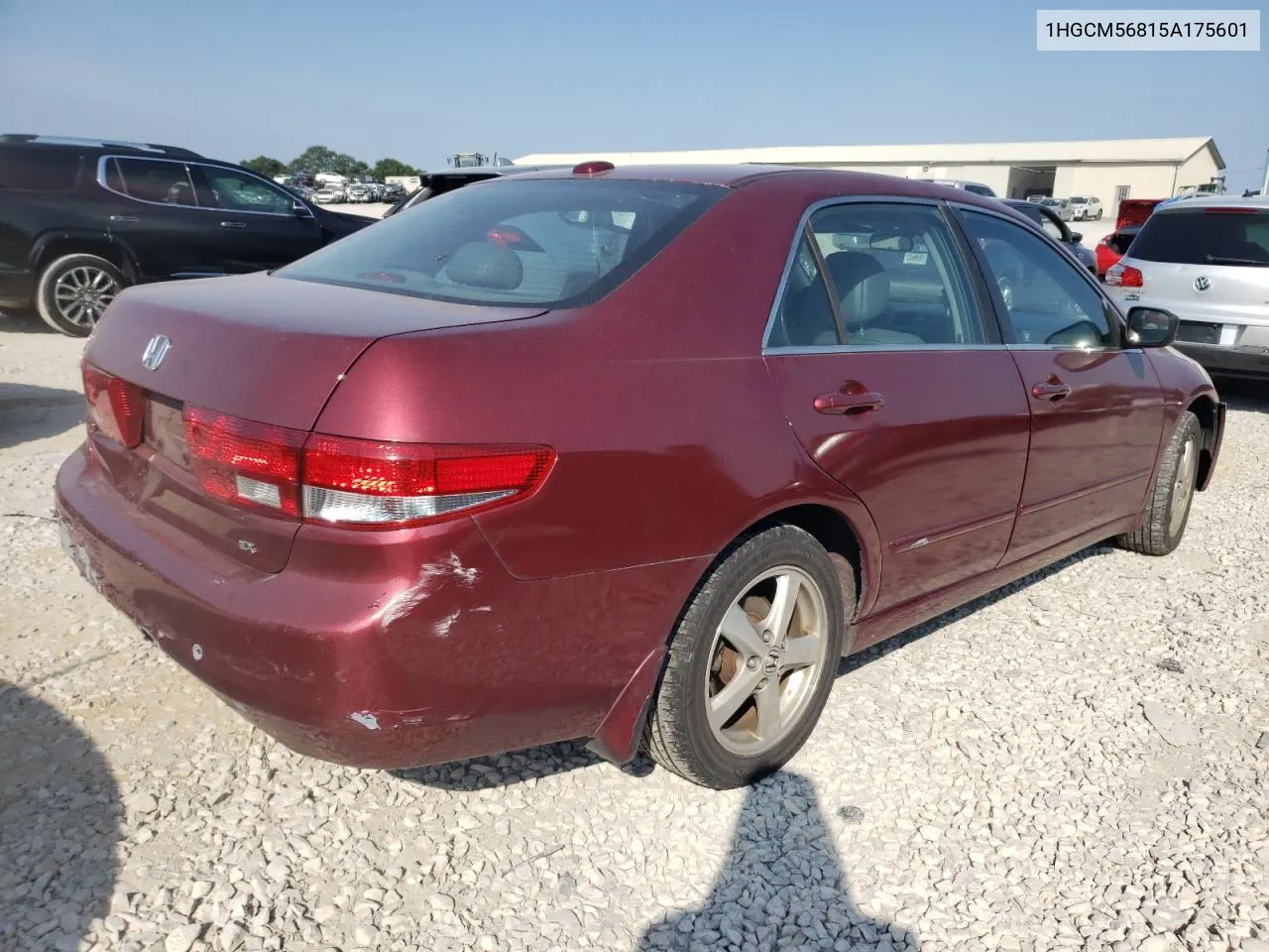 2005 Honda Accord Ex VIN: 1HGCM56815A175601 Lot: 69246884