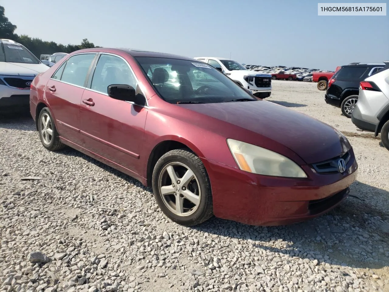 2005 Honda Accord Ex VIN: 1HGCM56815A175601 Lot: 69246884