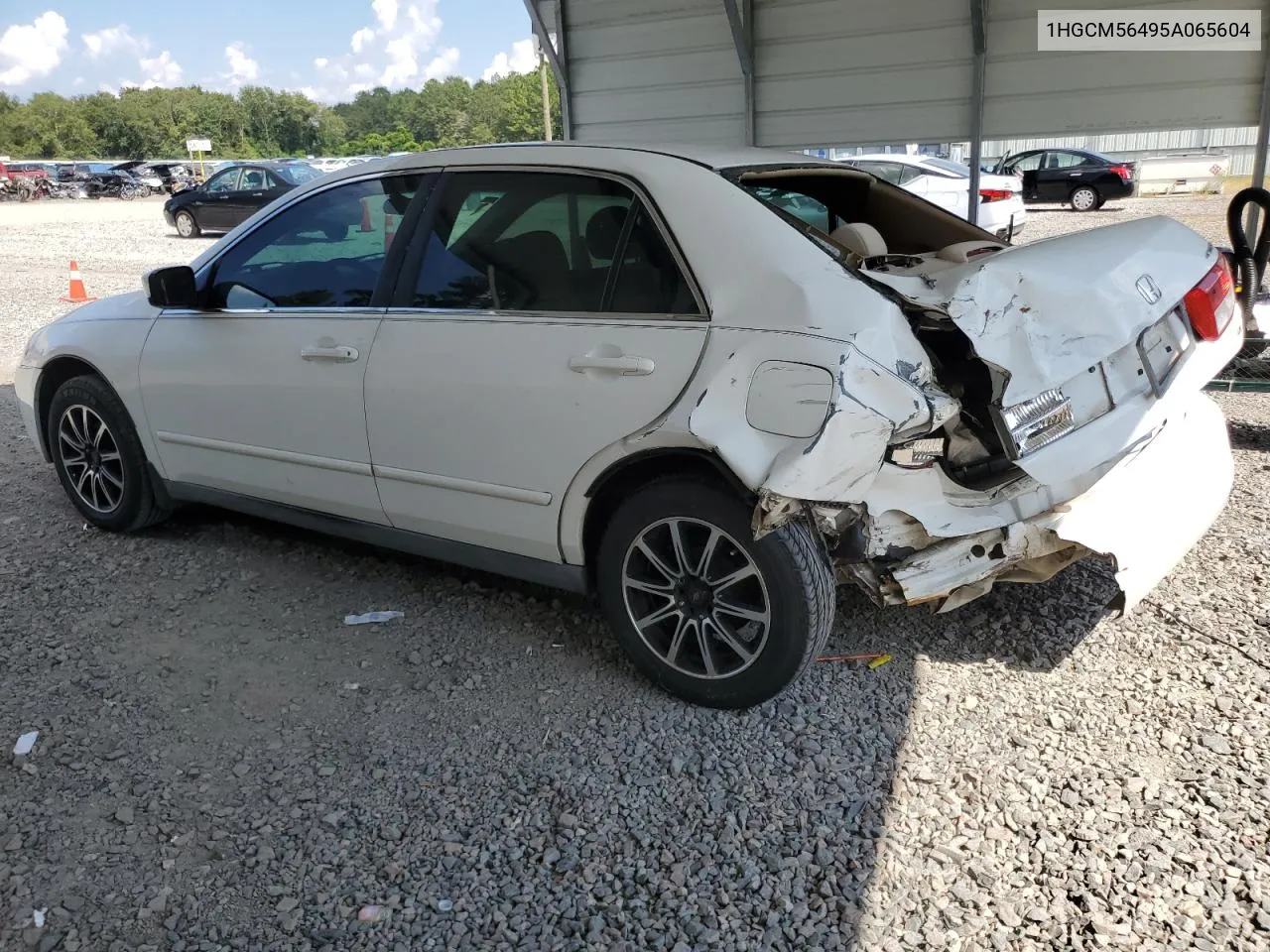 2005 Honda Accord Lx VIN: 1HGCM56495A065604 Lot: 69451034