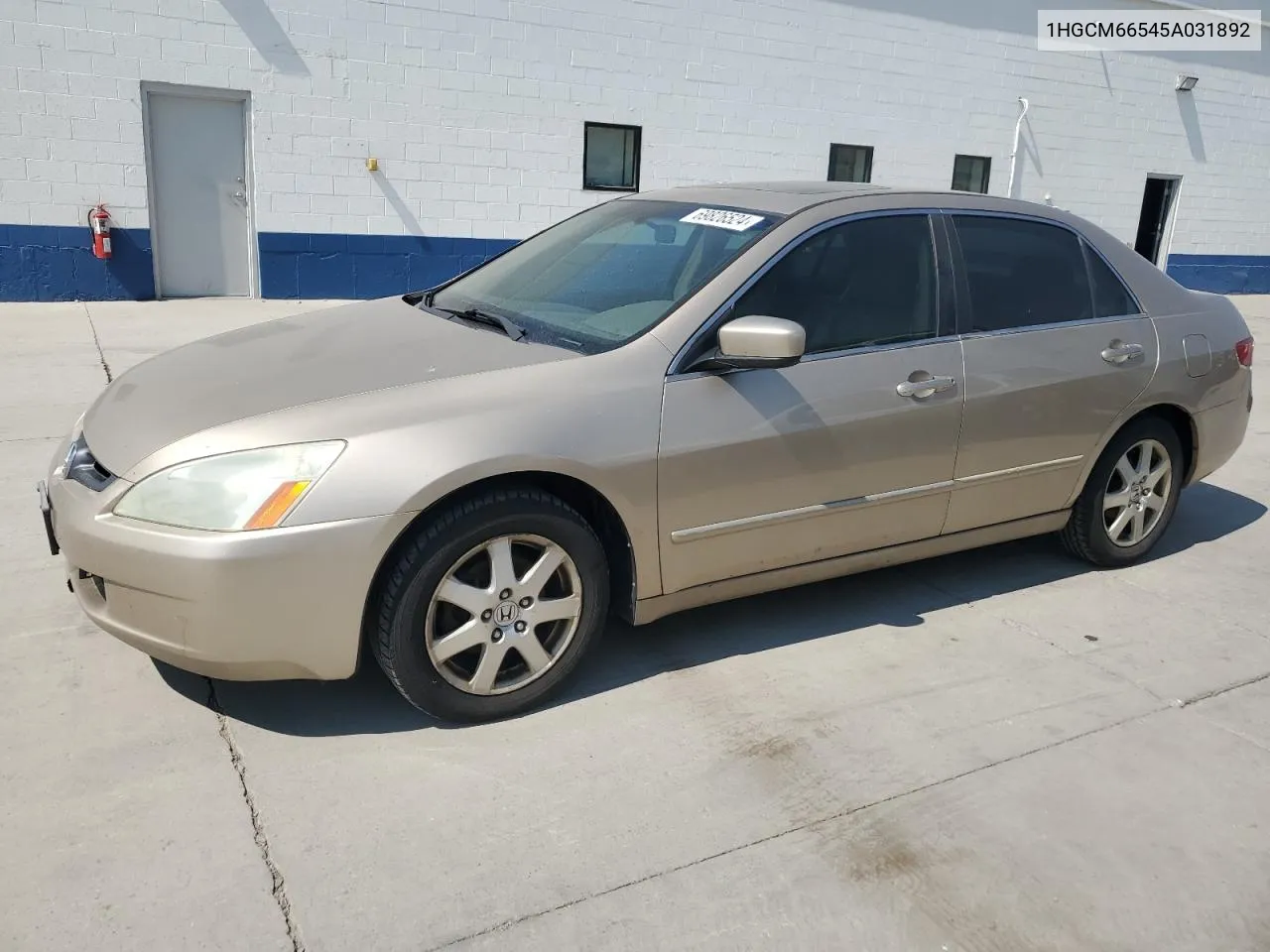 2005 Honda Accord Ex VIN: 1HGCM66545A031892 Lot: 69826524