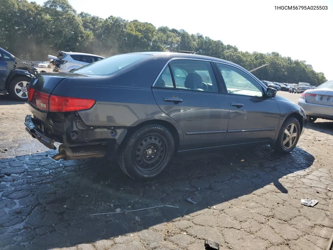 2005 Honda Accord Ex VIN: 1HGCM56795A025503 Lot: 70283954