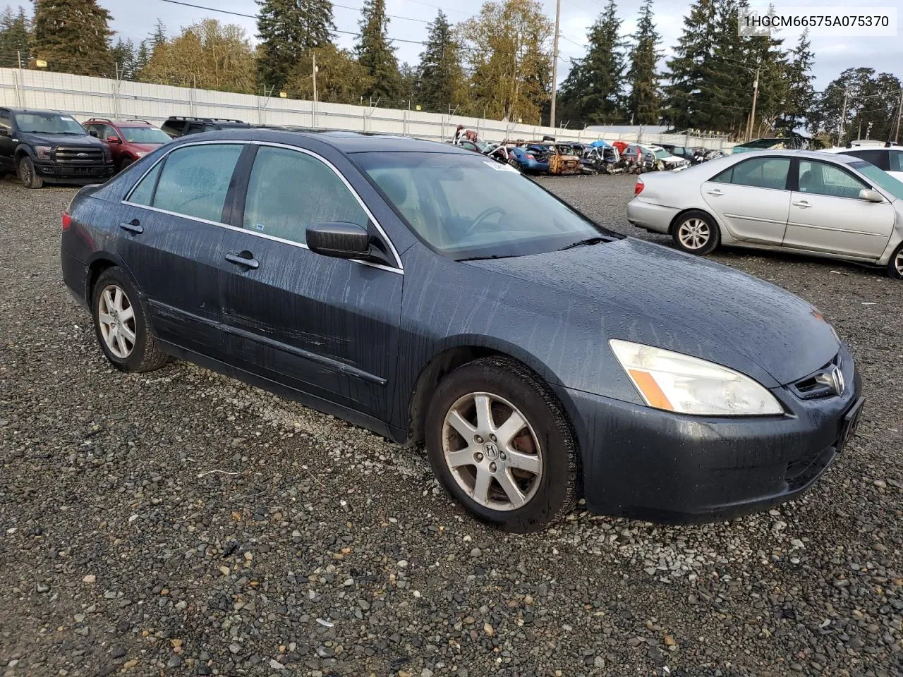 1HGCM66575A075370 2005 Honda Accord Ex