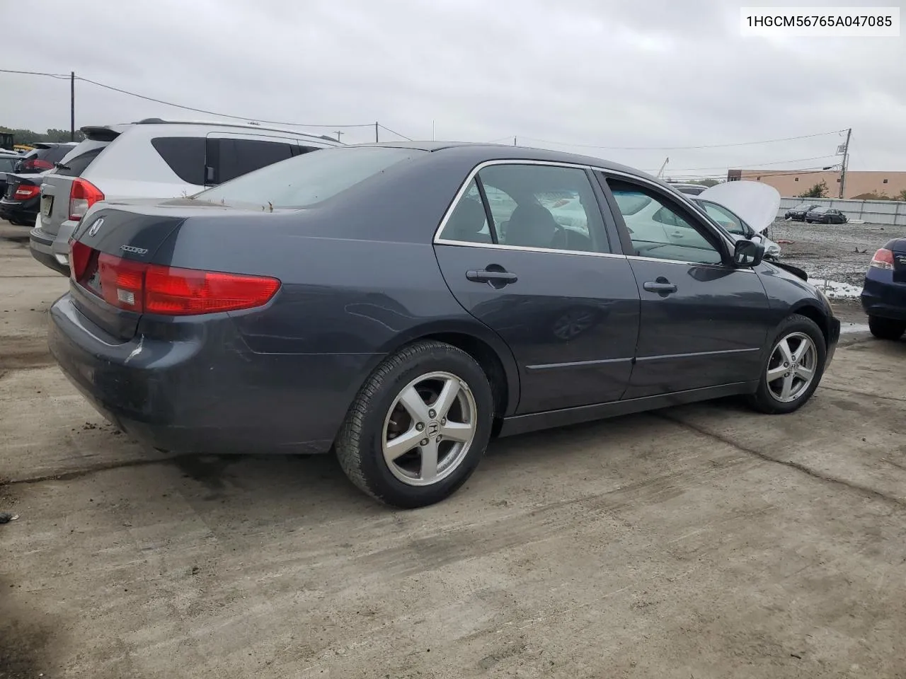 2005 Honda Accord Ex VIN: 1HGCM56765A047085 Lot: 73117874