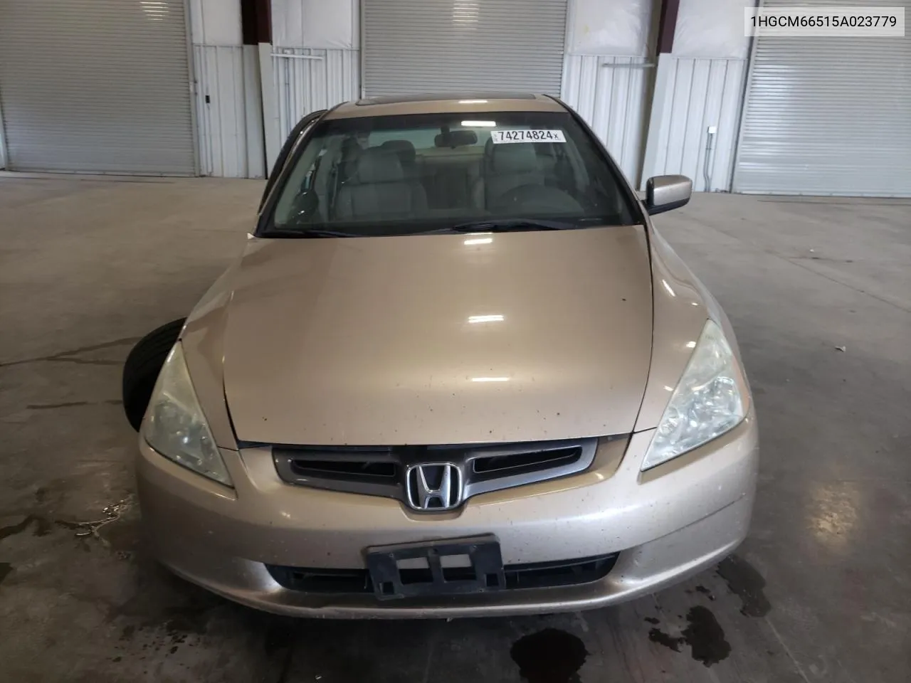 2005 Honda Accord Ex VIN: 1HGCM66515A023779 Lot: 74274824