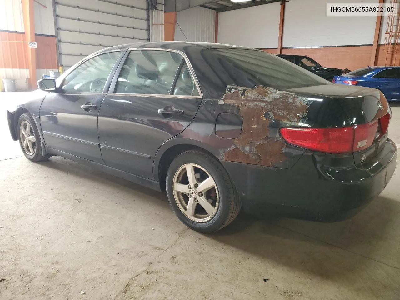 2005 Honda Accord Ex VIN: 1HGCM56655A802105 Lot: 74311354