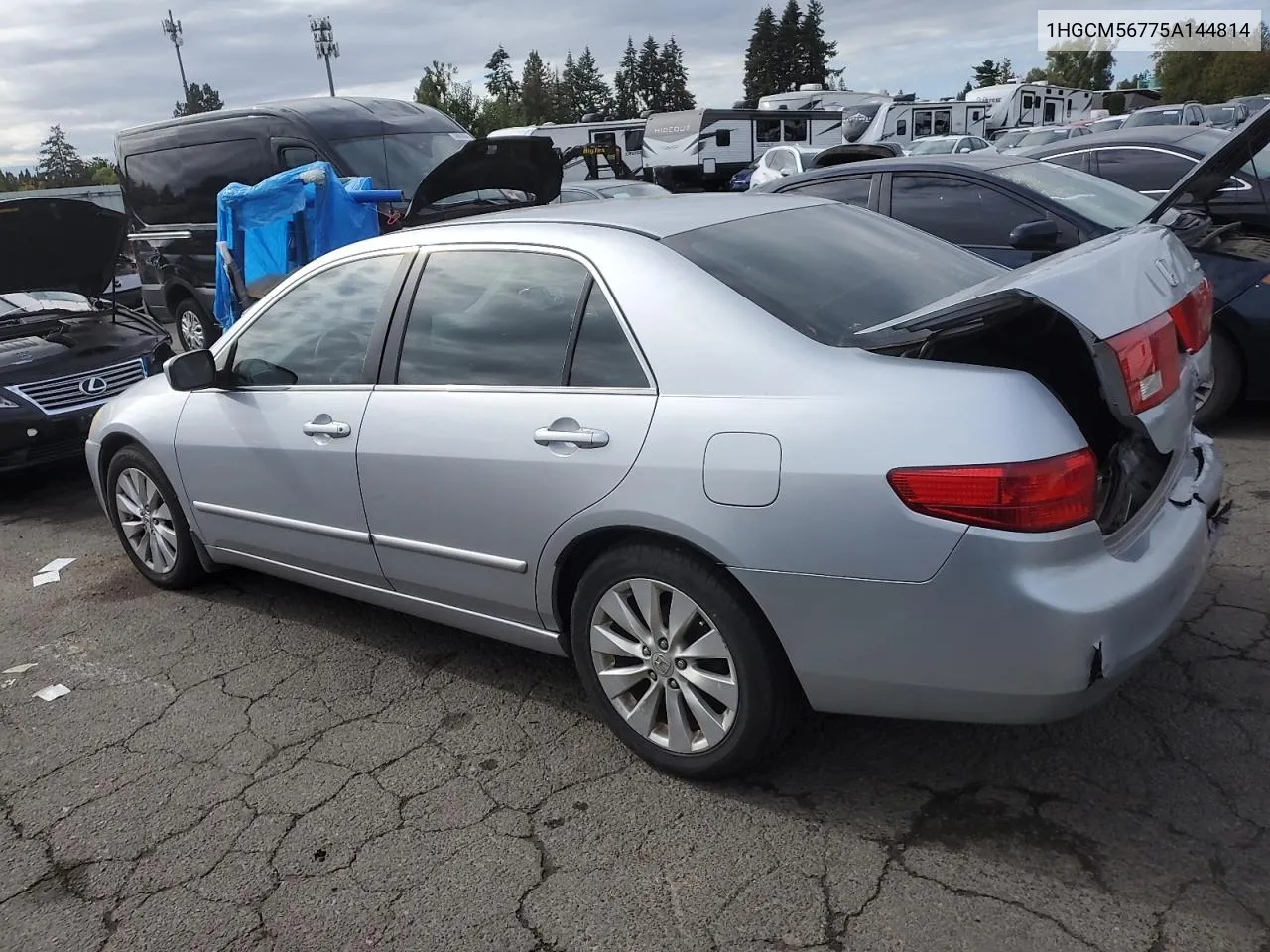 2005 Honda Accord Ex VIN: 1HGCM56775A144814 Lot: 74791524