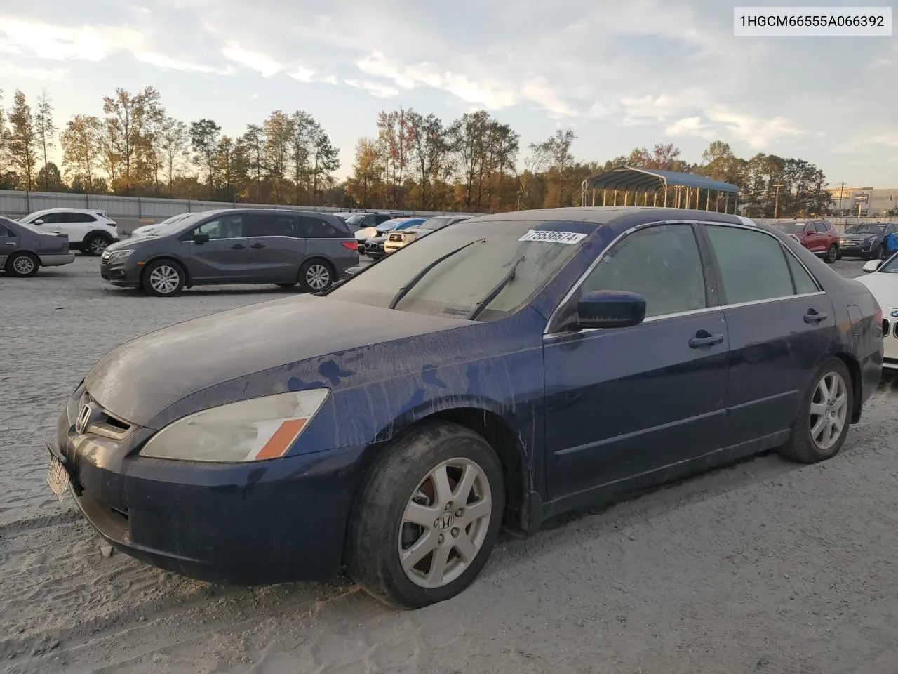 2005 Honda Accord Ex VIN: 1HGCM66555A066392 Lot: 75536674