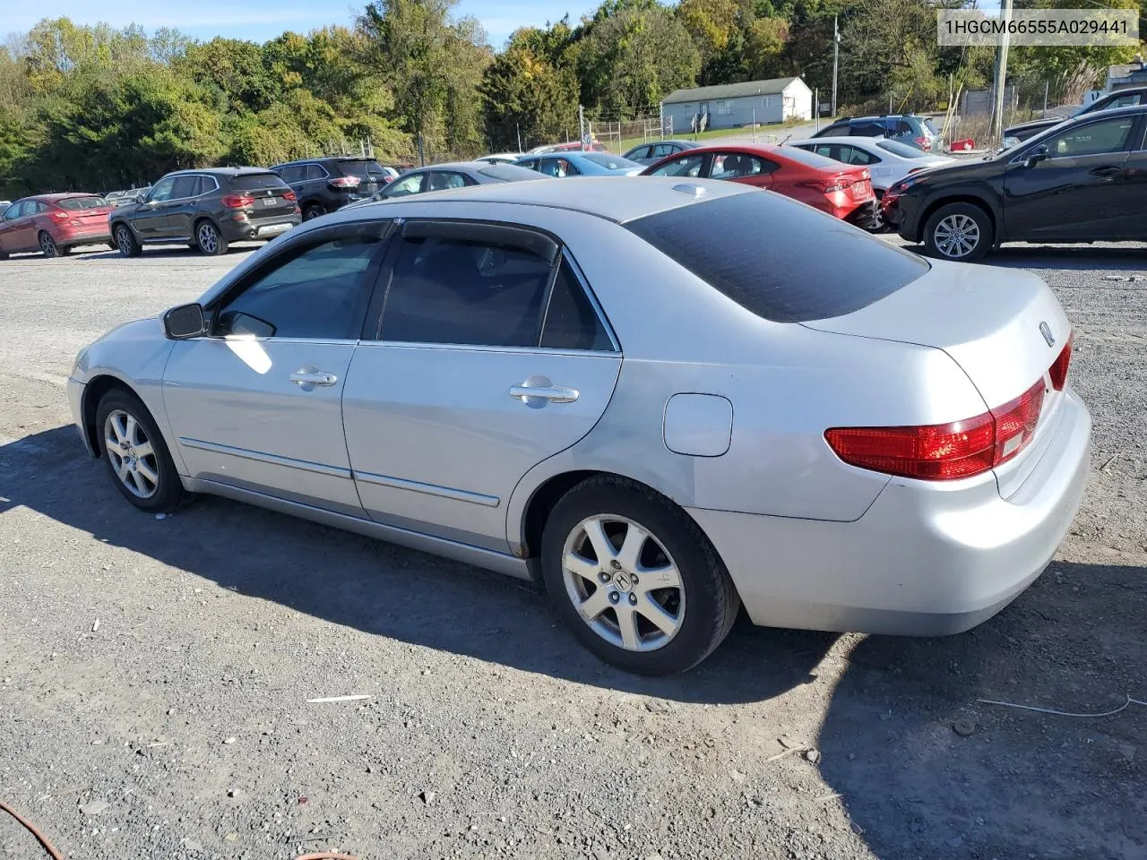 2005 Honda Accord Ex VIN: 1HGCM66555A029441 Lot: 75767324