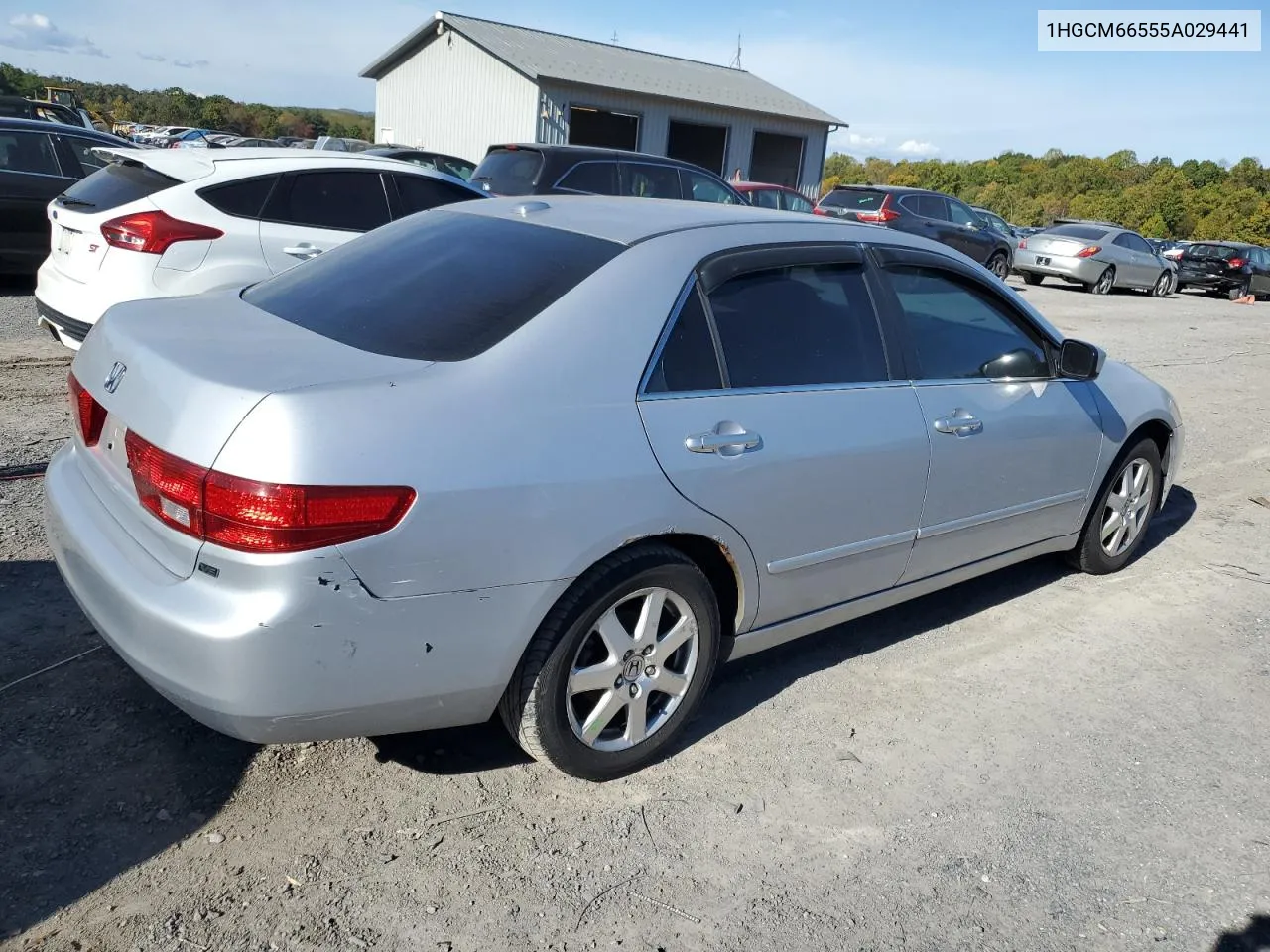 2005 Honda Accord Ex VIN: 1HGCM66555A029441 Lot: 75767324