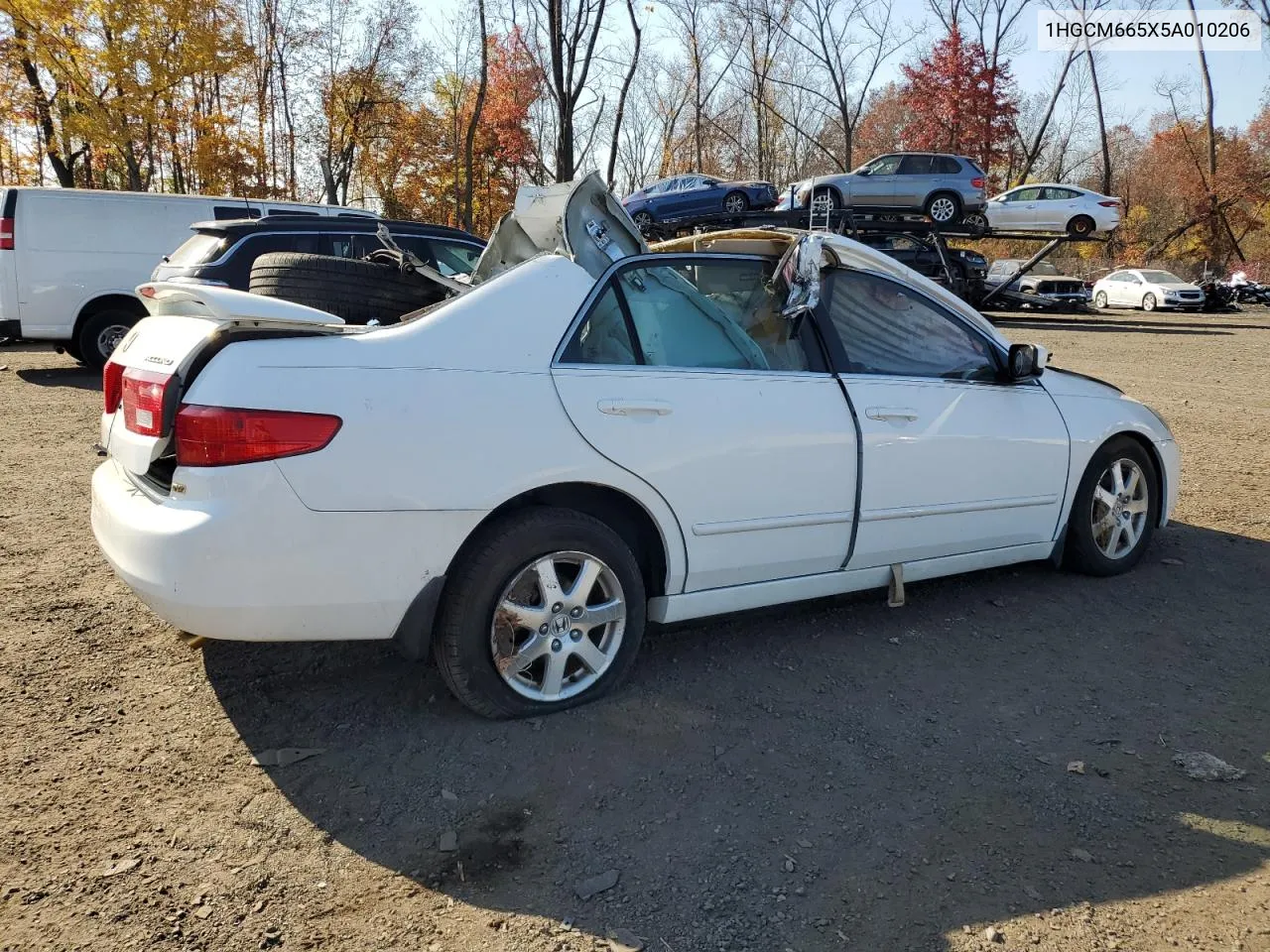 2005 Honda Accord Ex VIN: 1HGCM665X5A010206 Lot: 76759564